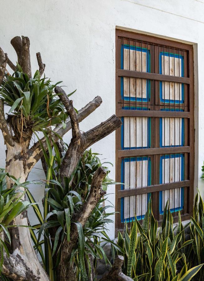 Casa Jacaranda Hotel Boutique - Cauca Viejo - Mayores De 14 Anos - 杰里科 外观 照片