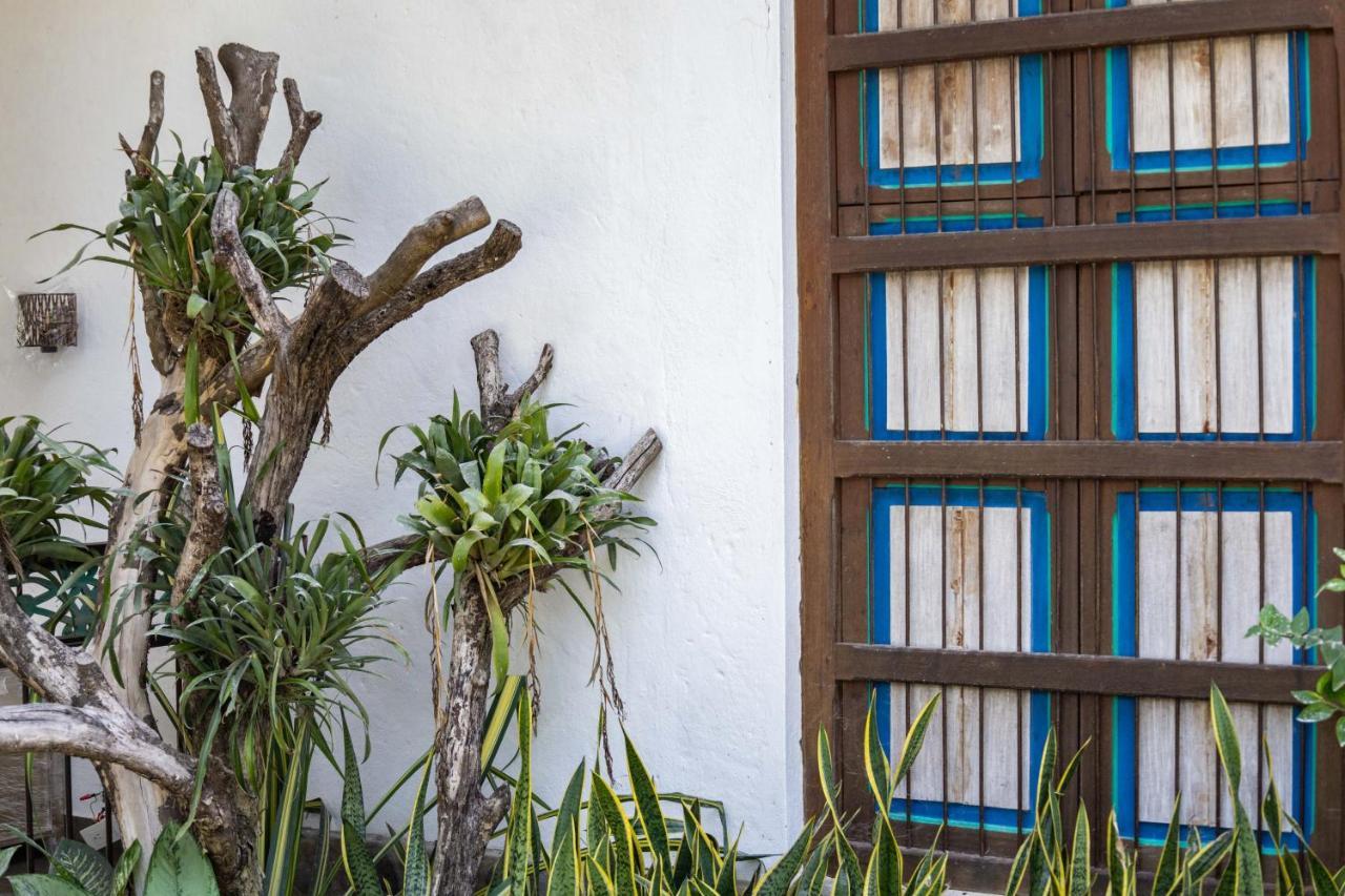 Casa Jacaranda Hotel Boutique - Cauca Viejo - Mayores De 14 Anos - 杰里科 外观 照片