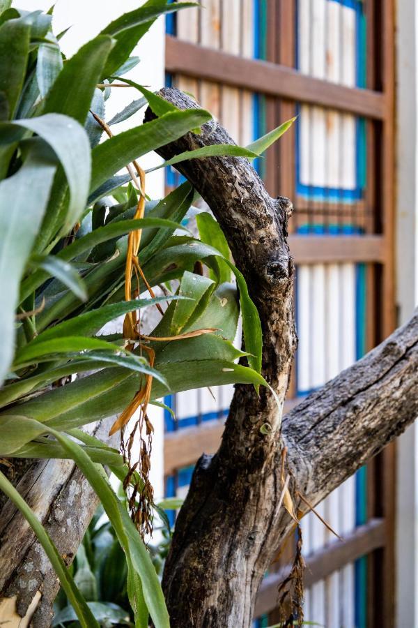 Casa Jacaranda Hotel Boutique - Cauca Viejo - Mayores De 14 Anos - 杰里科 外观 照片