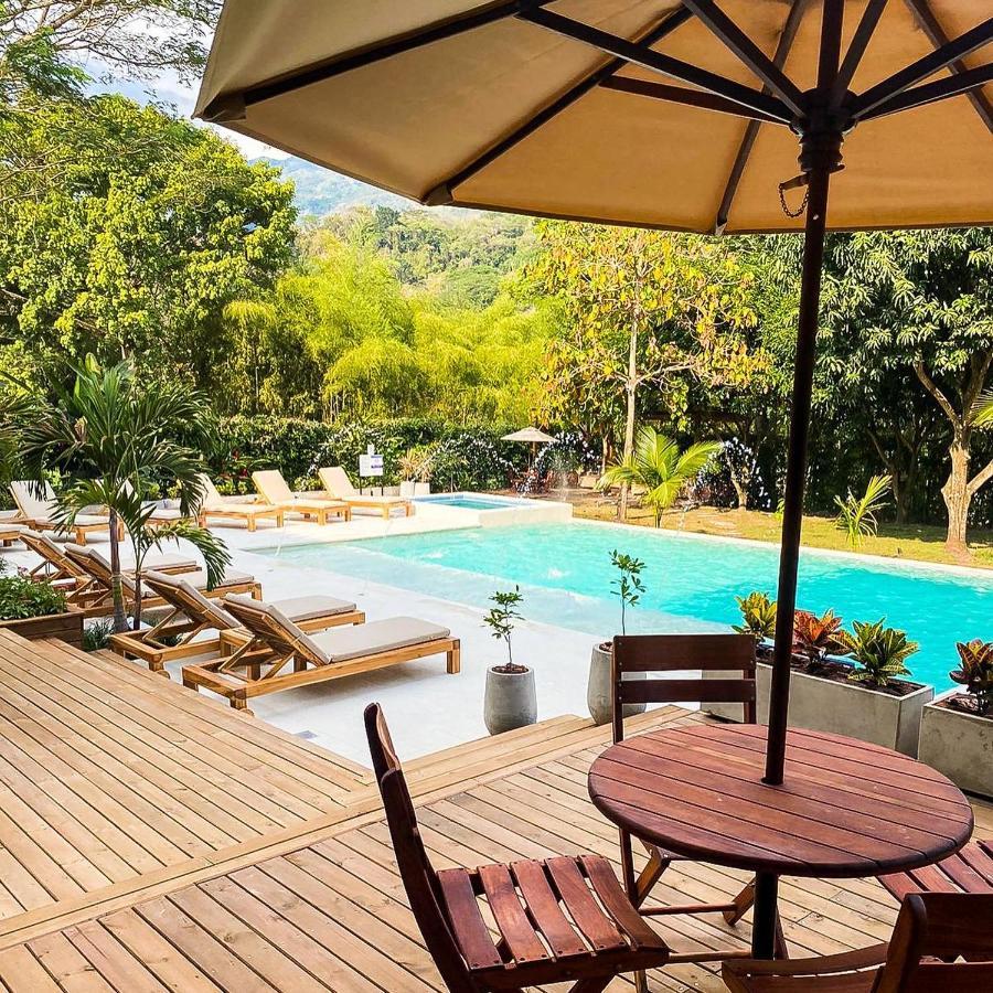 Casa Jacaranda Hotel Boutique - Cauca Viejo - Mayores De 14 Anos - 杰里科 外观 照片