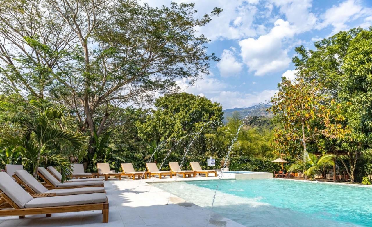 Casa Jacaranda Hotel Boutique - Cauca Viejo - Mayores De 14 Anos - 杰里科 外观 照片
